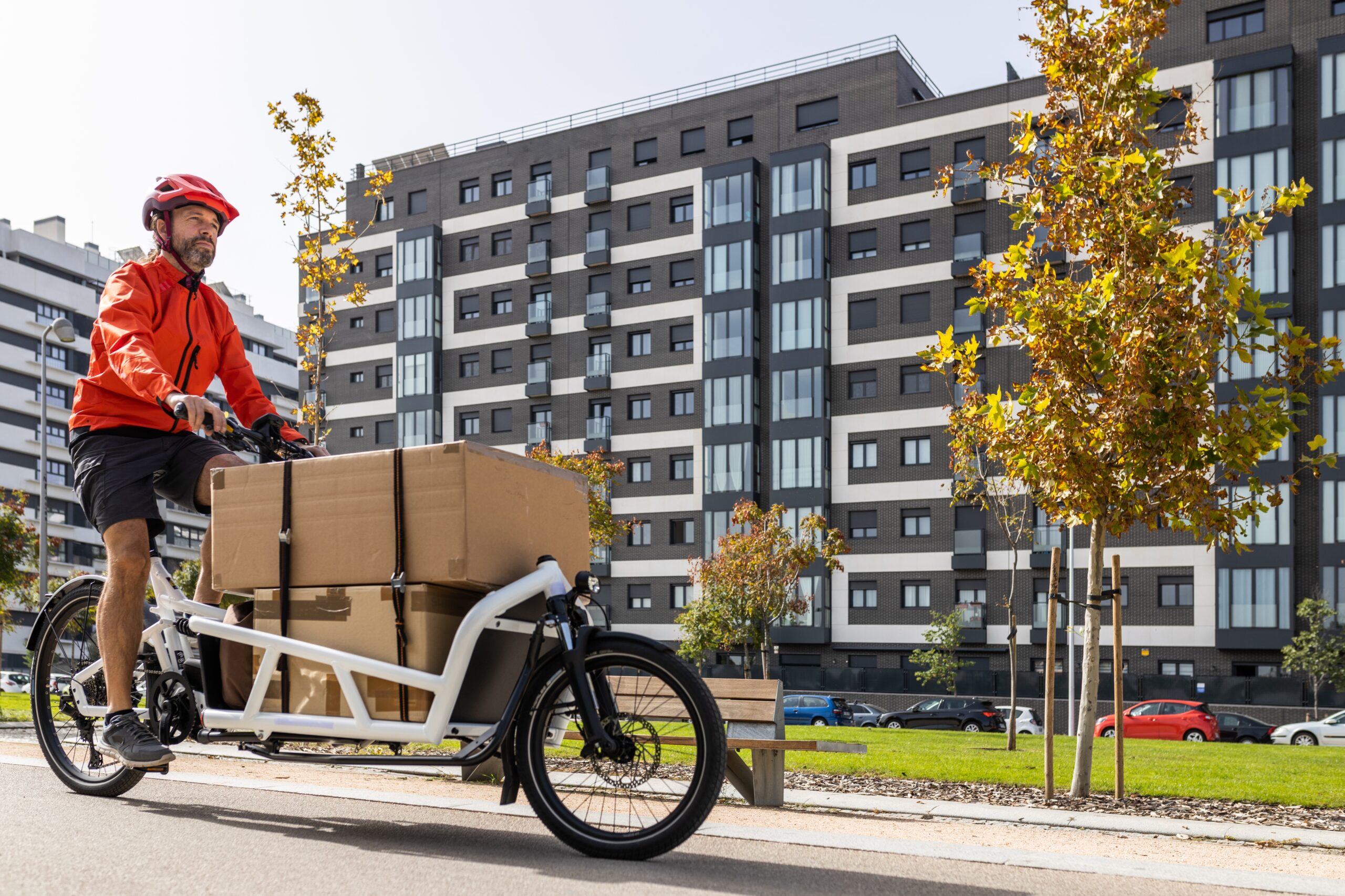 Last mile delivery cargo bike